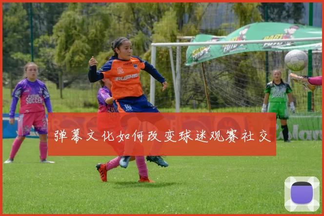 弹幕文化如何改变球迷观赛社交