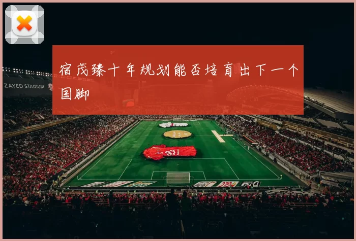 宿茂臻十年规划能否培育出下一个国脚